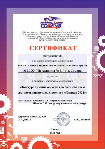 Сертификат участников Фликер 2021