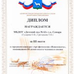 Диплом Арт-фотосессия НЕВЕСОМОСТЬ 3 место Гусарова Григорьева
