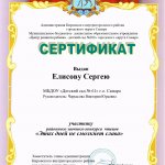 Этих дней не смолкнет слава, Елисов С., сертификат