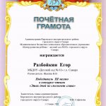 Этих дней не смолкнет слава, Разбойкин Е., 3 место